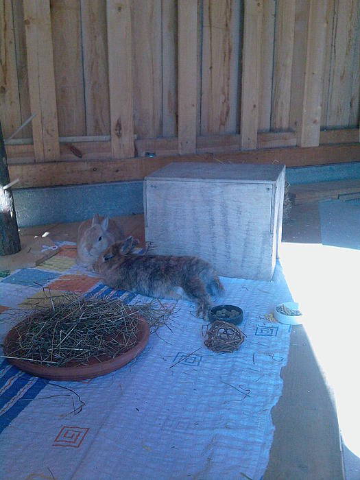 Klicke auf die Grafik fr eine grere Ansicht

Name:	Foto-0157.jpg
Hits:	0
Gre:	35,8 KB
ID:	65258