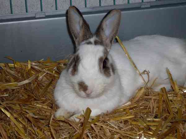 Klicke auf die Grafik fr eine grere Ansicht

Name:	luna.jpg
Hits:	5
Gre:	51,7 KB
ID:	77542