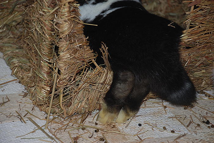 Klicke auf die Grafik fr eine grere Ansicht

Name:	DSC_8021.jpg
Hits:	0
Gre:	85,7 KB
ID:	85801