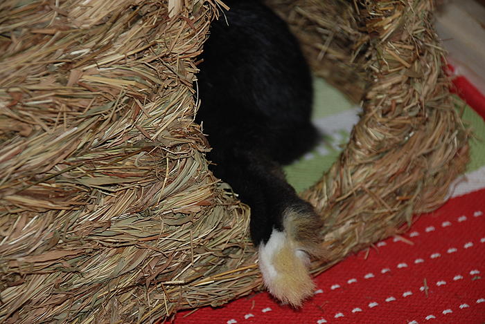 Klicke auf die Grafik fr eine grere Ansicht

Name:	DSC_8015_2.jpg
Hits:	0
Gre:	81,8 KB
ID:	85804