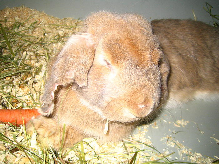 Klicke auf die Grafik fr eine grere Ansicht

Name:	Blindie 8.jpg
Hits:	8
Gre:	88,0 KB
ID:	93550