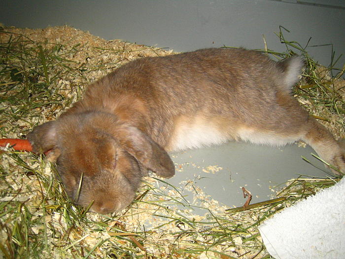 Klicke auf die Grafik fr eine grere Ansicht

Name:	Blindie 3.jpg
Hits:	3
Gre:	87,5 KB
ID:	93553