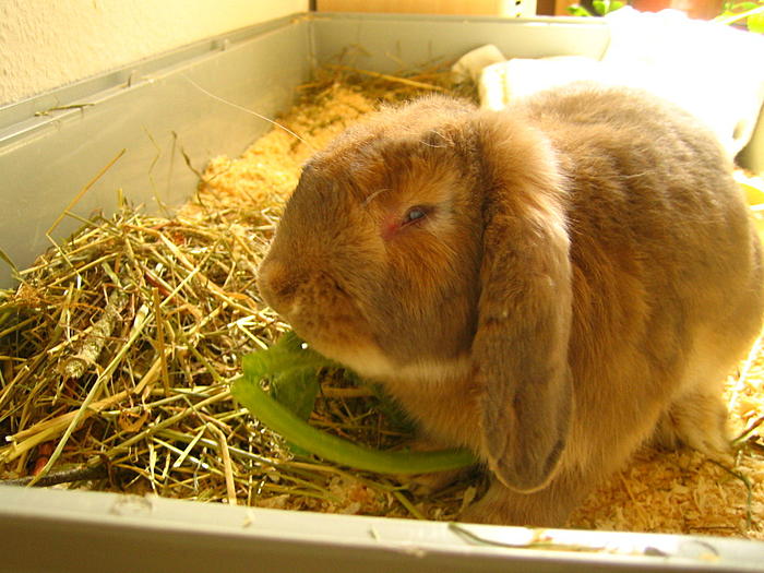 Klicke auf die Grafik fr eine grere Ansicht

Name:	IMG_0235.jpg
Hits:	0
Gre:	74,7 KB
ID:	93744