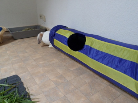 Klicke auf die Grafik fr eine grere Ansicht

Name:	Tunnel.JPG
Hits:	129
Gre:	97,5 KB
ID:	97237