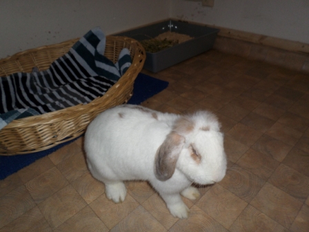Klicke auf die Grafik fr eine grere Ansicht

Name:	Strudel von oben.JPG
Hits:	188
Gre:	111,1 KB
ID:	98881