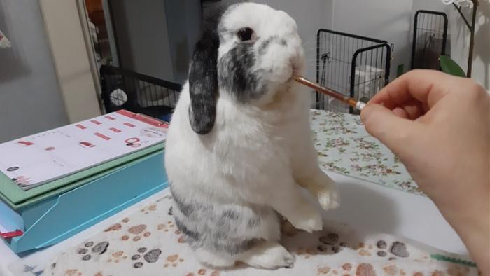 Klicke auf die Grafik für eine größere Ansicht
Name: 20230218_093213.jpg
Hits: 0
Größe: 85,4 KB
ID: 200271