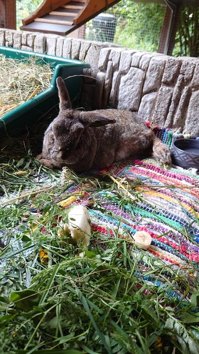 Klicke auf die Grafik für eine größere Ansicht
Name: DSC_1850_450_800.jpg
Hits: 4
Größe: 92,6 KB
ID: 208677