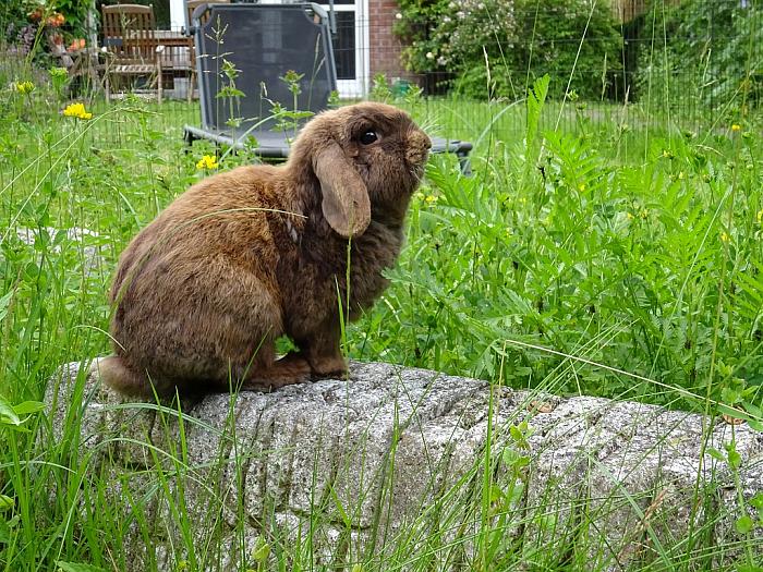 Klicke auf die Grafik für eine größere Ansicht
Name: DSC00062.jpg
Hits: 1
Größe: 136,5 KB
ID: 162777