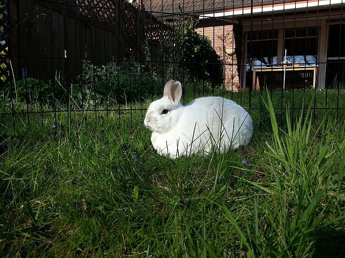 Klicke auf die Grafik für eine größere Ansicht
Name: 20160505_174614.jpg
Hits: 1
Größe: 118,0 KB
ID: 162778