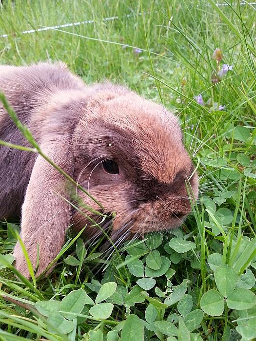 Klicke auf die Grafik für eine größere Ansicht
Name: 20150514_173013.jpg
Hits: 1
Größe: 71,5 KB
ID: 162779