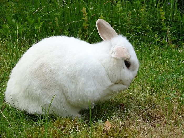 Klicke auf die Grafik für eine größere Ansicht
Name: DSC00040.jpg
Hits: 1
Größe: 103,1 KB
ID: 162780