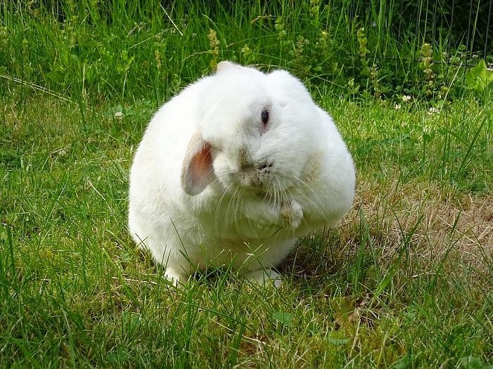 Klicke auf die Grafik für eine größere Ansicht
Name: DSC00056.jpg
Hits: 1
Größe: 122,9 KB
ID: 162781