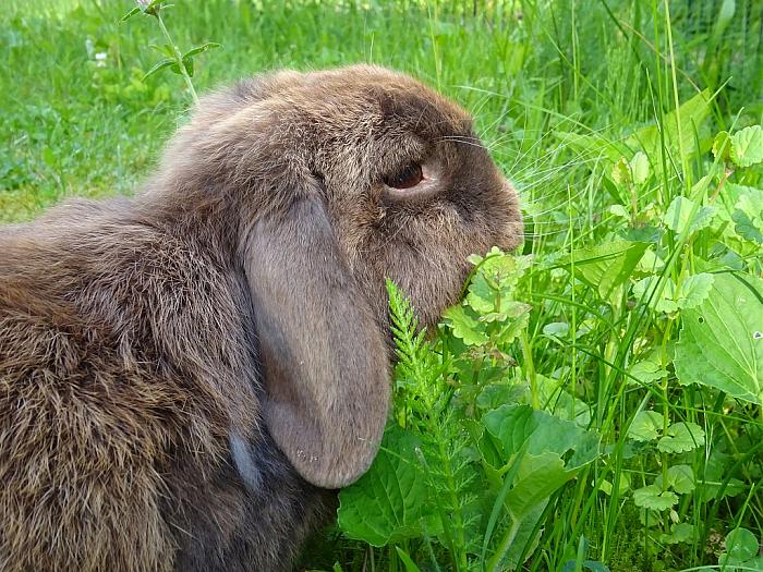 Klicke auf die Grafik für eine größere Ansicht
Name: DSC00014.jpg
Hits: 1
Größe: 113,5 KB
ID: 162842