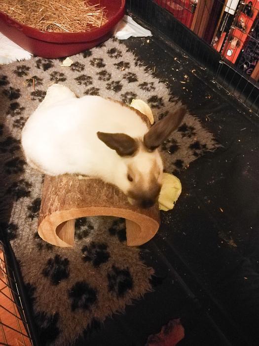 Klicke auf die Grafik für eine größere Ansicht
Name:	PSX_20191209_063907.jpg
Hits:	0
Größe:	292,7 KB
ID:	179928