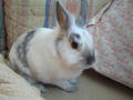 Avatar von Tylie0606