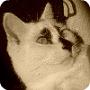 Avatar von *Carina*