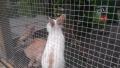 Avatar von Bugs&Bunny