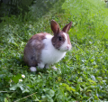 Avatar von Flori